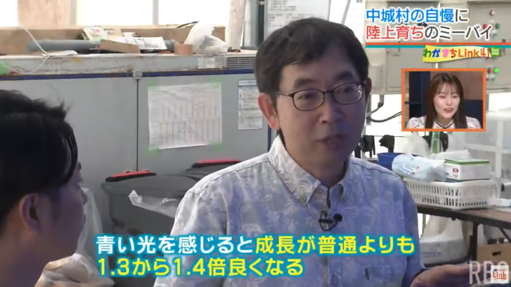 「獲るから育てる」へ　産官学が連携した高級魚の陸上養殖　“ギョギョギョ”な養殖施設に潜入